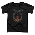 Batman - Smoke & Fire Toddler Short Sleeve product image 1