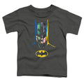 Batman - 80 Years Many Faces Toddler Short Sleeve product image 1