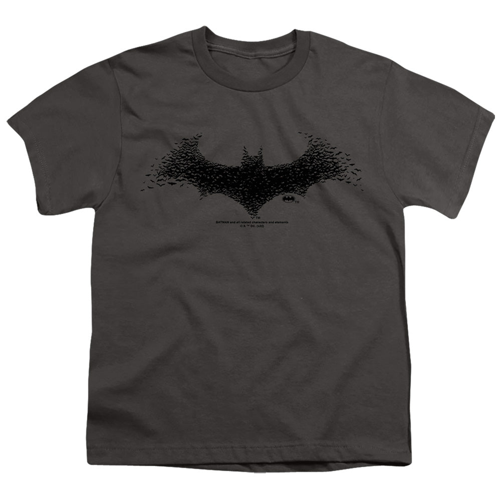 Batman - Bat Logo 1 Youth Short Sleeve product image 1