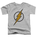 Justice League - Flash Muted Color Bolt Toddler Short Sleeve product image 1