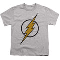 Justice League - Flash Muted Color Bolt Youth Short Sleeve product image 1
