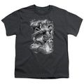 JLA - Atmospheric Youth Short Sleeve product image 1