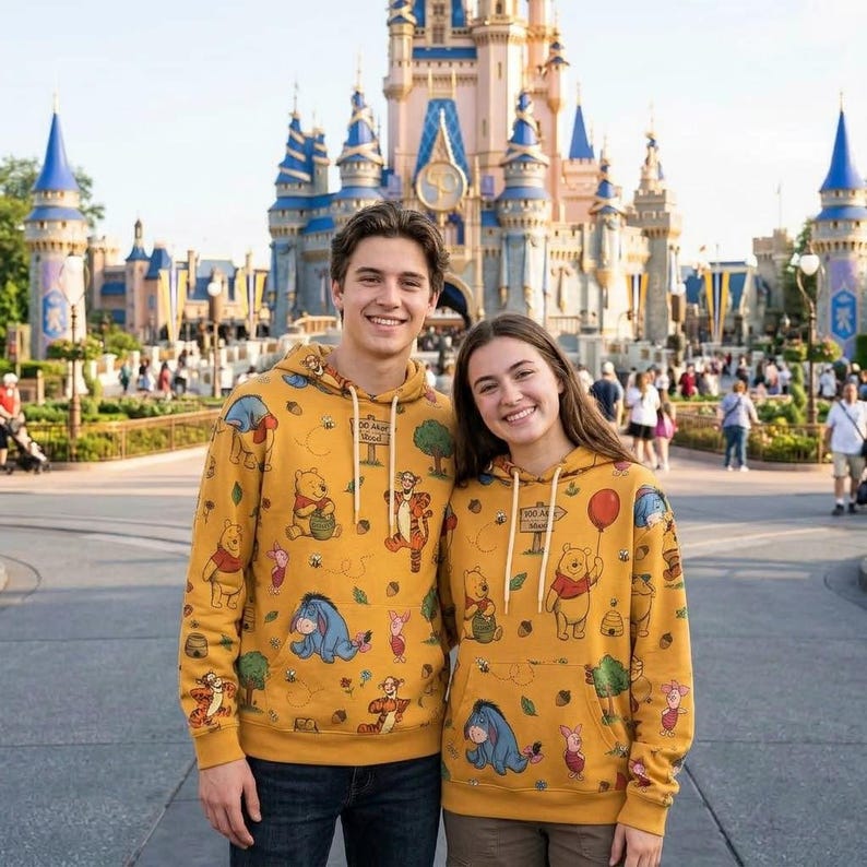 Disney Winnie The Pooh Hoodie, Hundred Acre Wood All Over Print Sweatshirt, Vintage Bear Tigger Eeyore Pullover, Cute Autumn Cartoon Hoodie